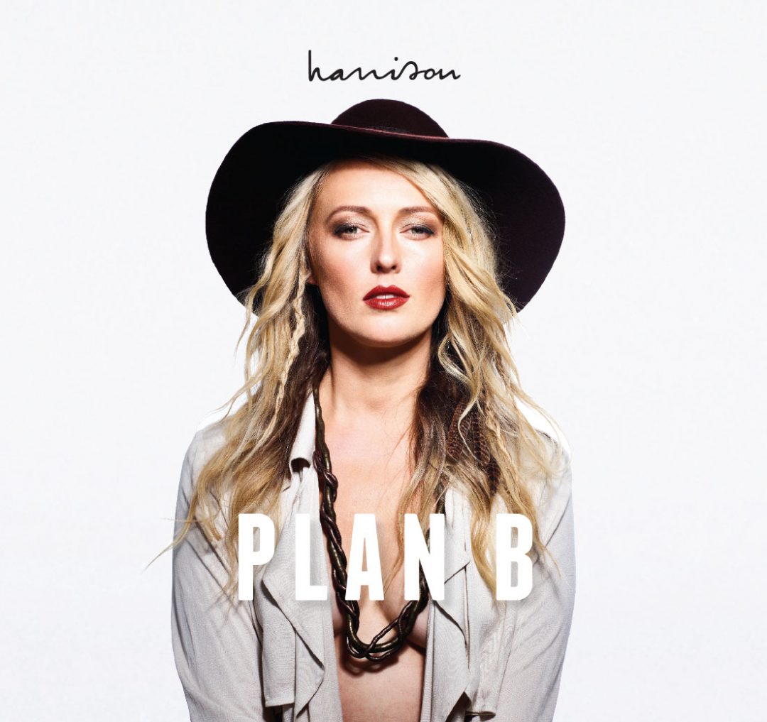 ALBUM: PLAN B - Harrison The Artist